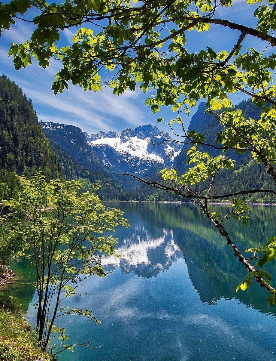 Tina Koskima 🕊️ tweet media