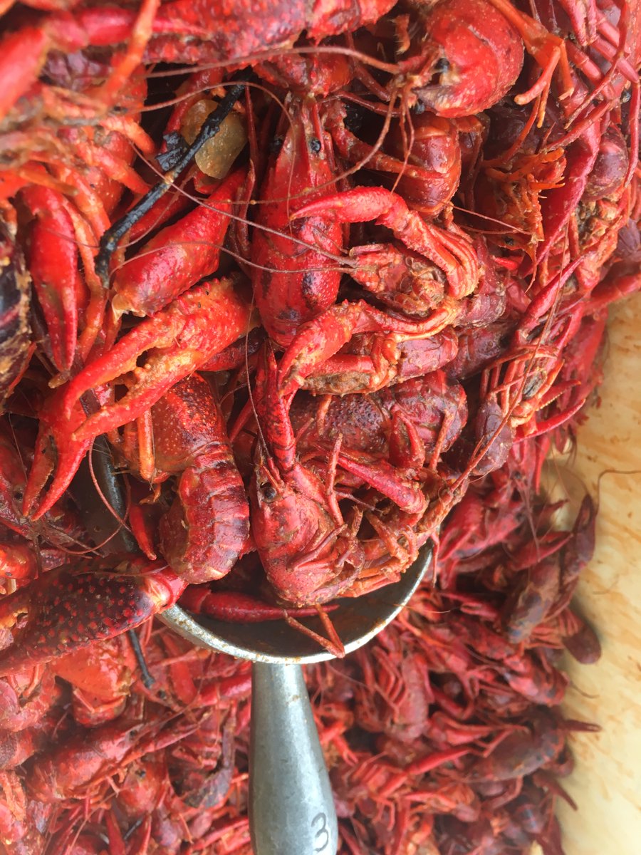 The Little Dooey's 🔥 tweet media