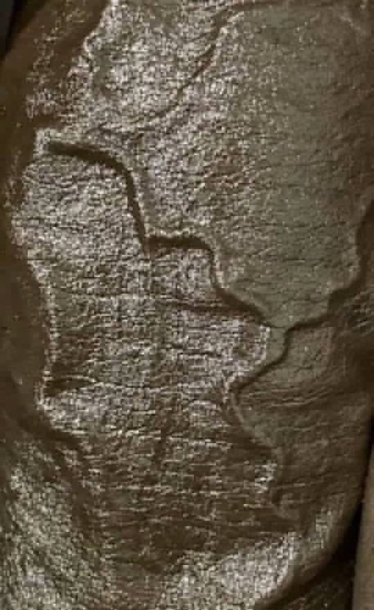 Los prefiero venosos que penosos 🤤