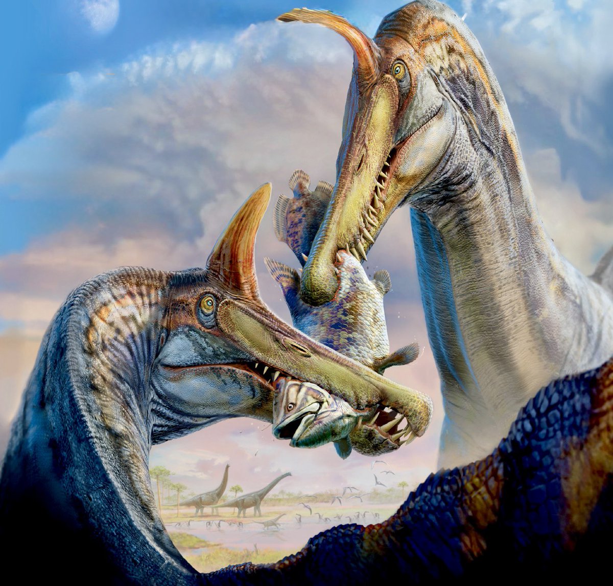 🚨 A new species of SPINOSAURUS has been discovered in Africa! Meet Spinosaurus mirabilis, featuring a striking new cranial crest. 

Check out this stunning paleoart by <a href="/playerDNG/">Dani Navarro Paleoart</a> 🦖