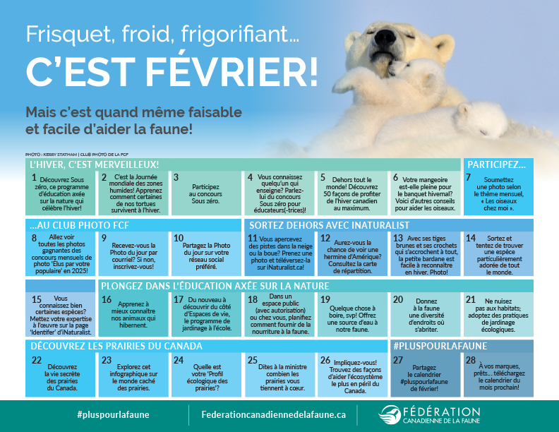 Canadian Wildlife Federation tweet media