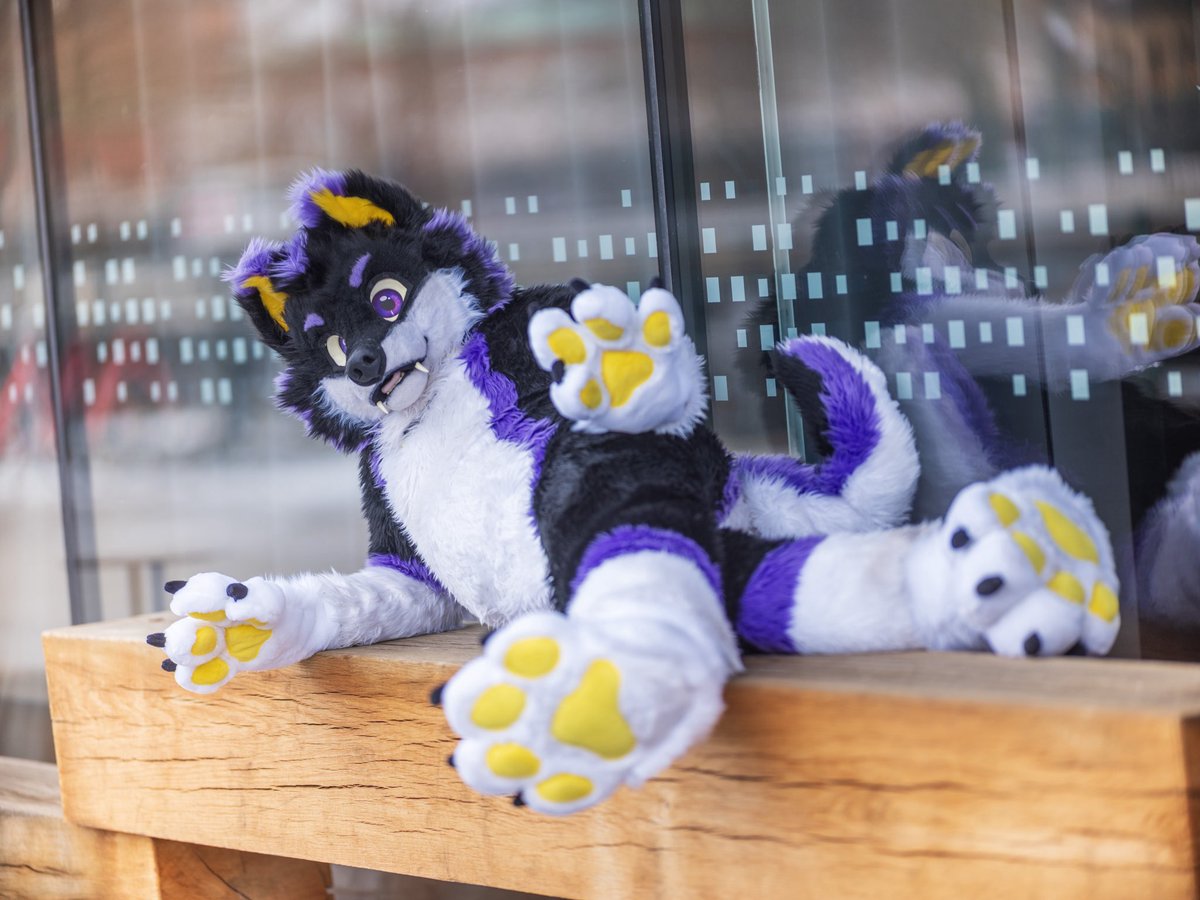 🌻 混沌的隊長 ➡️ AFC tweet media