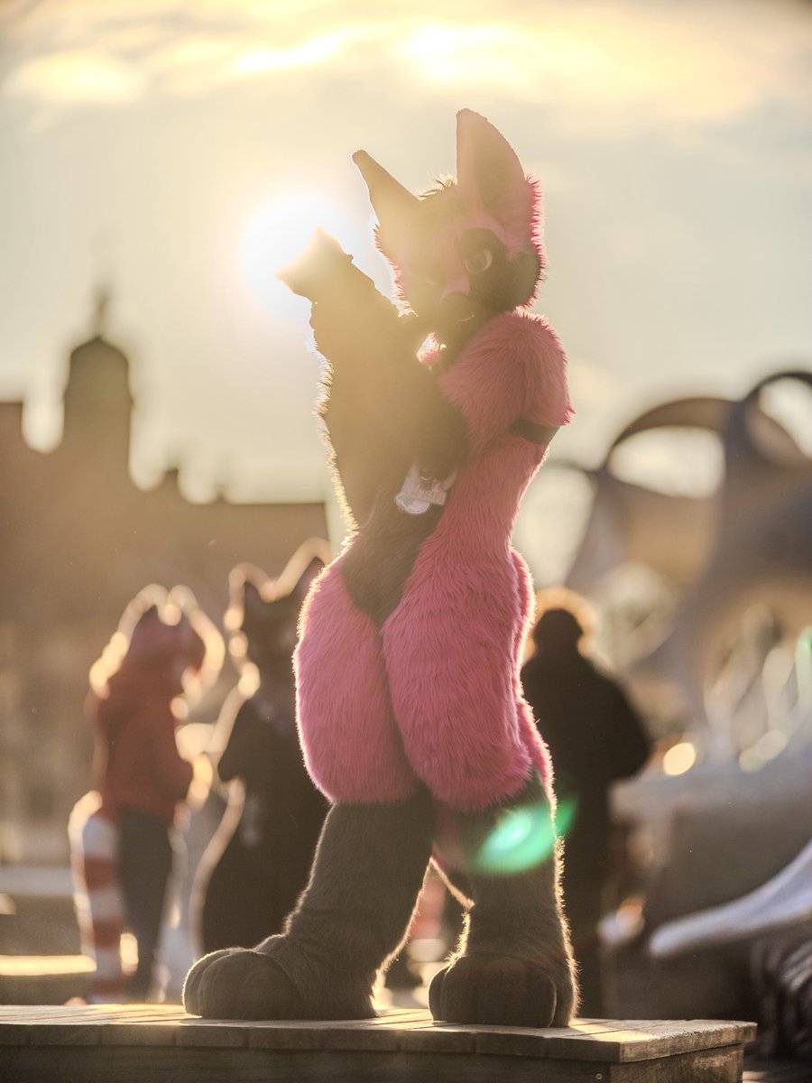 🌻 混沌的隊長 ➡️ AFC tweet media