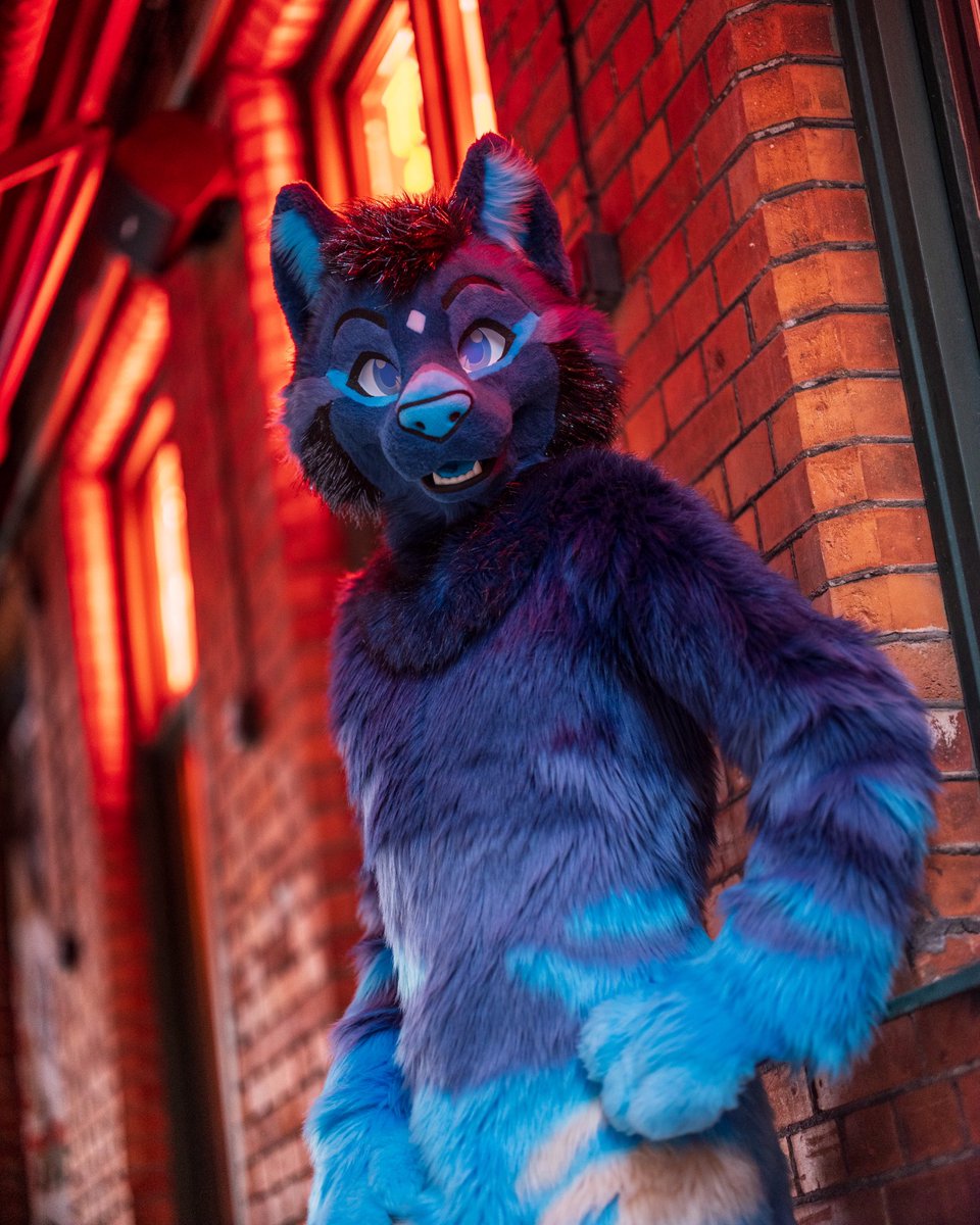 🌻 混沌的隊長 ➡️ AFC tweet media