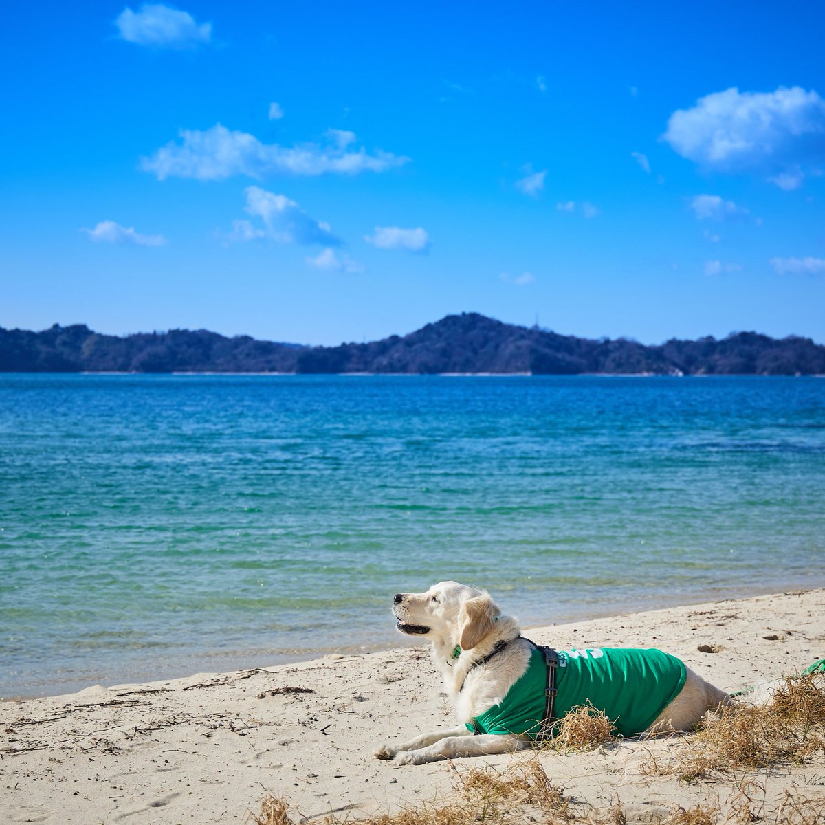 天気良く散歩日和… 瀬戸内の海と空の青が眩しい！