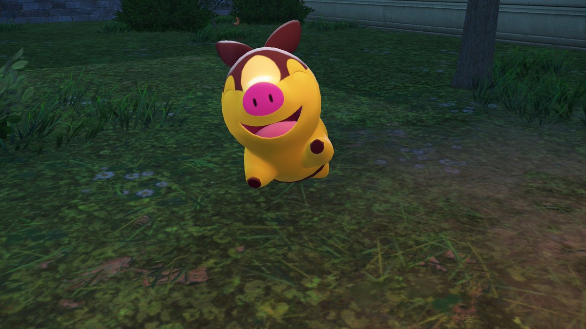 JamesC4478 tweet media