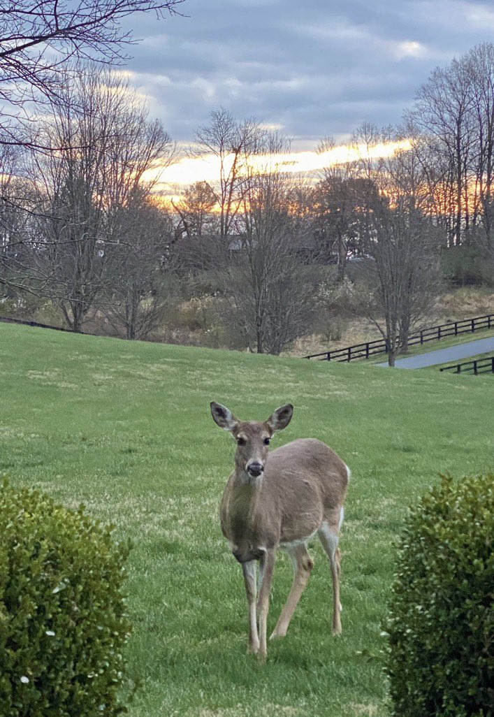 Hi folks hope is doing ok