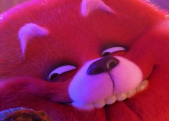 Lazuli / DoggoD.va tweet media