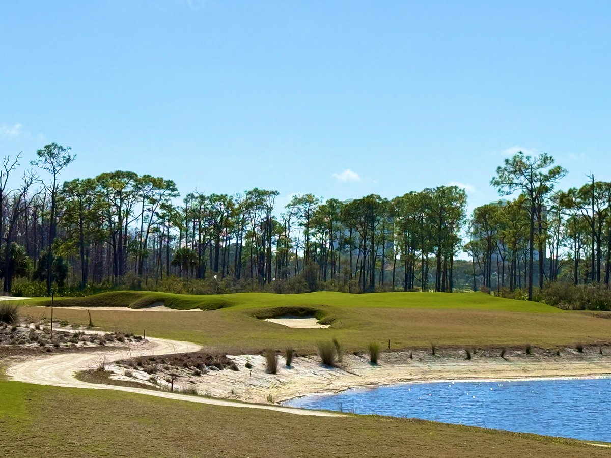 Rick Golfs tweet media