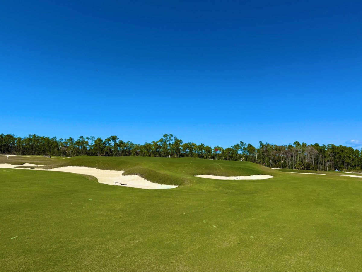 Rick Golfs tweet media