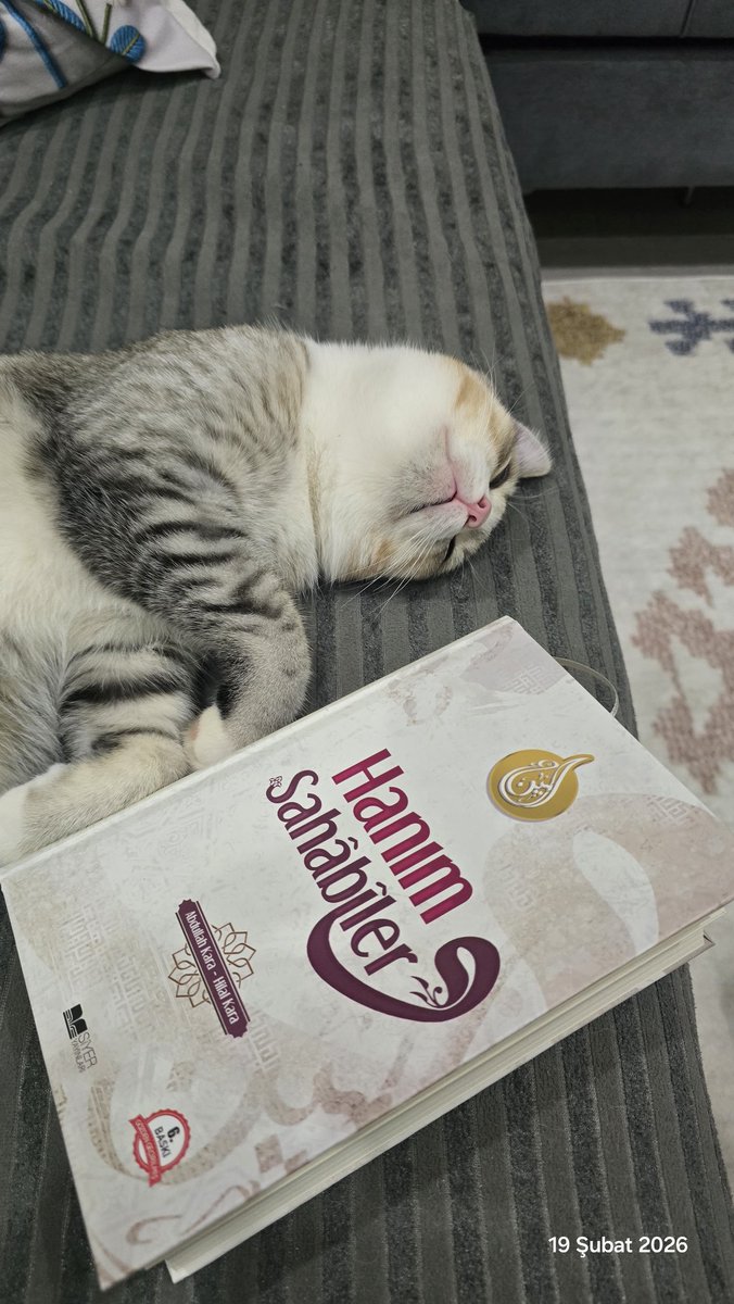 hanenur21's tweet photo. Ramazan ve kedim... https://t.co/melyboqBHB