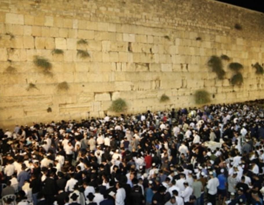 Uriel Busso-אוריאל בוסו tweet media