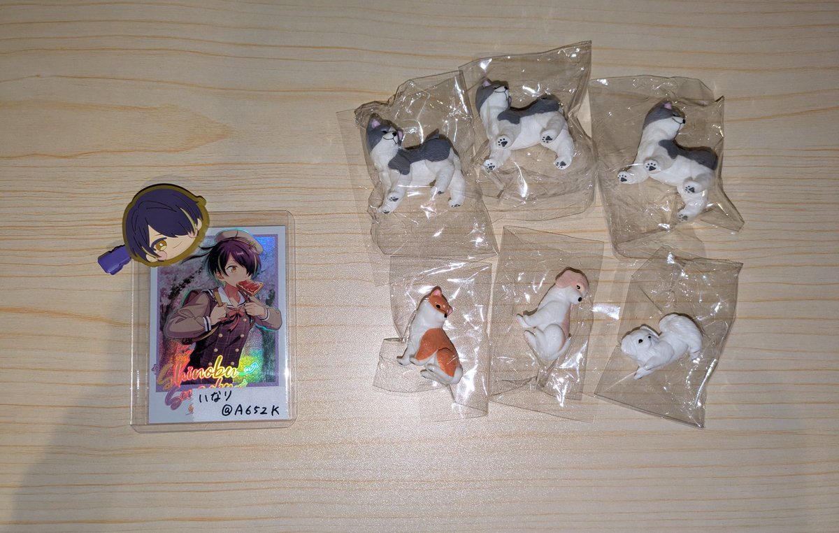 いなり🦊 取引垢/DM不調 tweet media