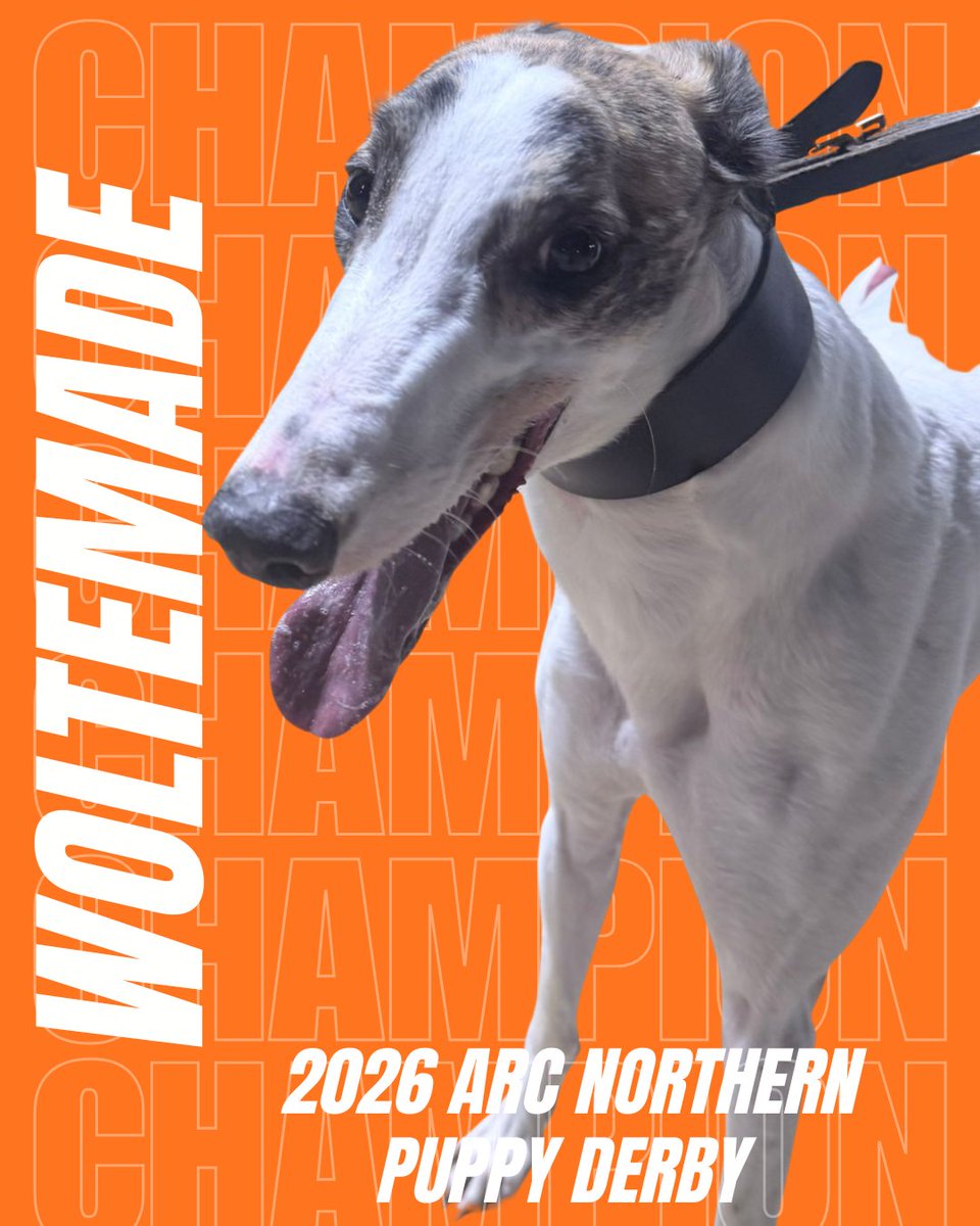 Newcastle Greyhound Stadium tweet media