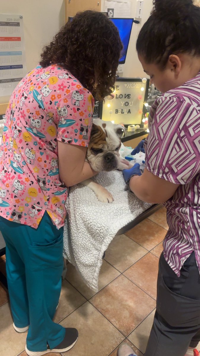 Marquise Williams tweet media