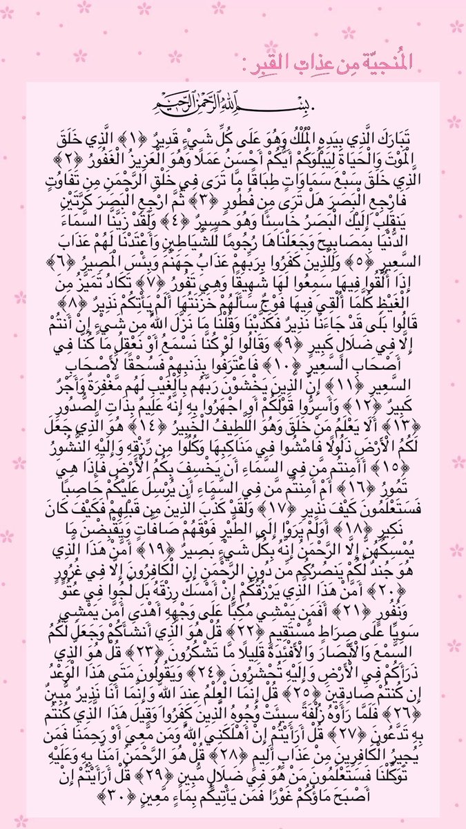salma tweet media
