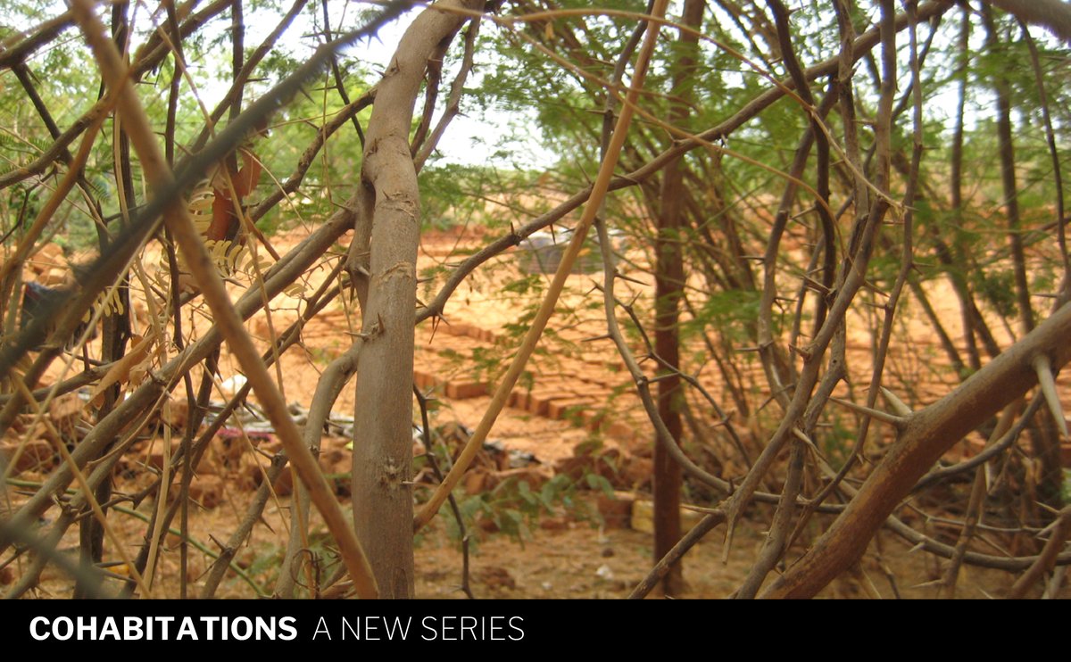 UMinnPress's tweet photo. Announcing a new series, Cohabitations, for studies of past, present, and future habitats, featuring editors Namita Vijay Dharia, Anooradha Iyer Siddiqi, Peg Rawes, Ikem Stanley Okoye, and Daniel A. Barber. https://t.co/GeKpQFKJkm
#CAA14 https://t.co/mWeglDDDx9