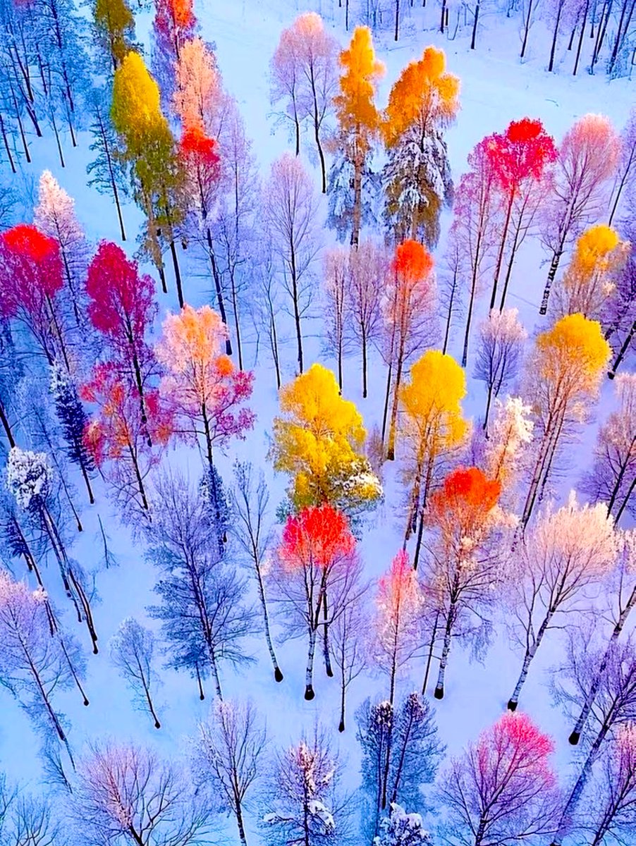 9HUrne5nPVQ7p5h's tweet photo. 𝐺𝑜𝑜𝑑 𝑚𝑜𝑟𝑛𝑖𝑛𝑔𓂃𓈒☀︎*.｡🕊️🌿✨
Have a great day today.♩🕊⭐⁺⊹˚.⋆
🌟♫•¨*•.¸¸♪🌟♫•*¨* •.¸¸♪🌟♫•¨*•.
📸©️cutenatureee,#IG,✨✨✨✨✨ https://t.co/oB8PClCfp9