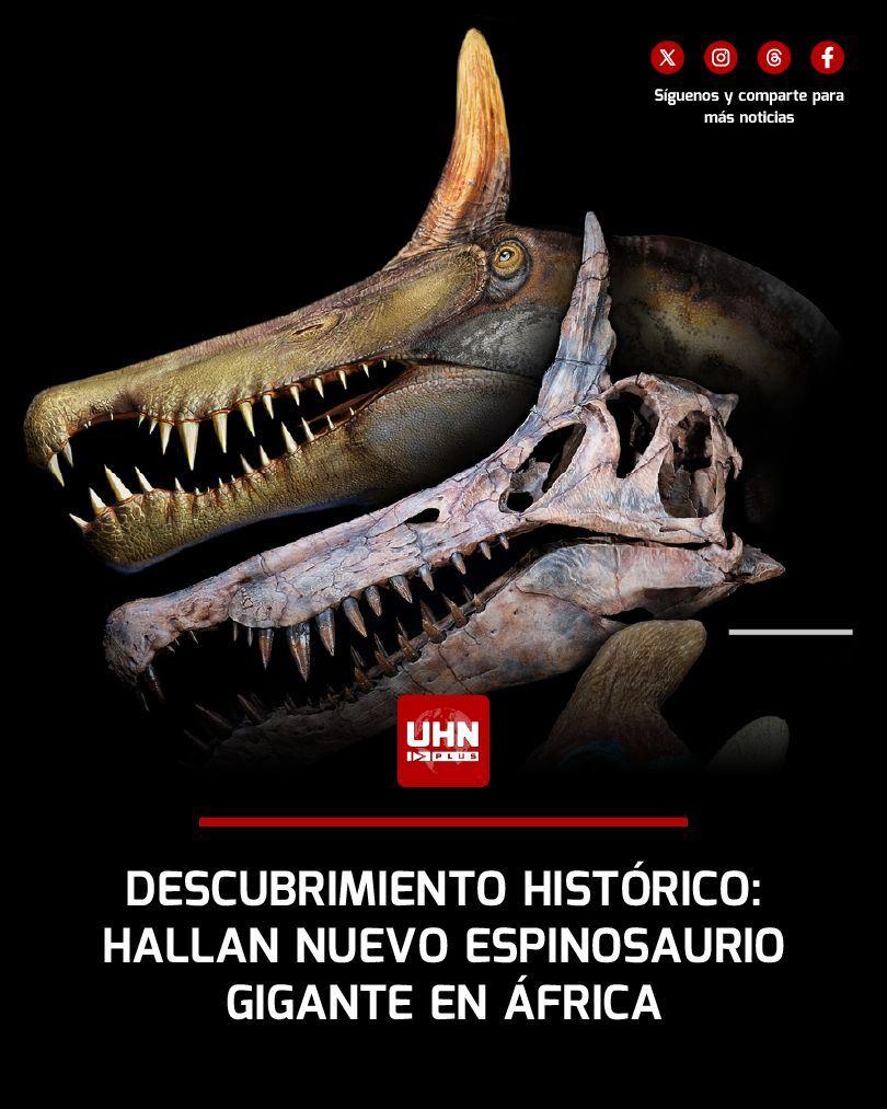 UHN Plus tweet media