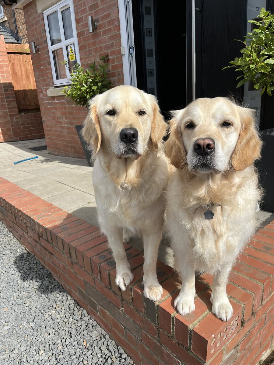 About Me Lotte tweet media