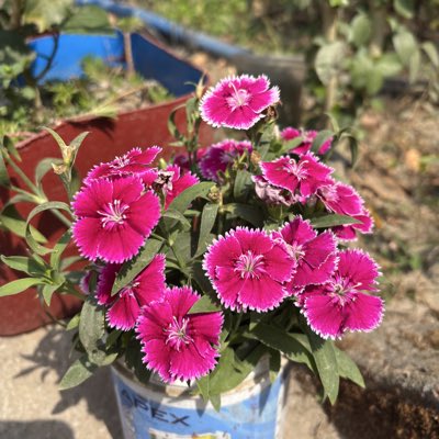 oldmanlover33's tweet photo. #NewProfilePic https://t.co/CJ9EzuRJ5O