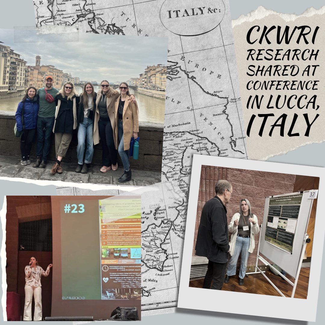 Caesar Kleberg Wildlife Research Institute tweet media