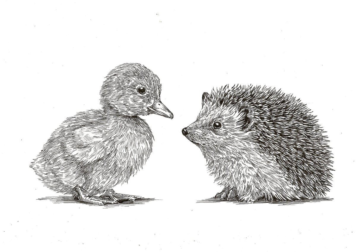 De laatste tekening voor vandaag. Het is tekening van een goed gesprek. 

‘Wat duurt februari lang he?’
21 x 29,7 cm
Inkt op papier 

Delen is lief