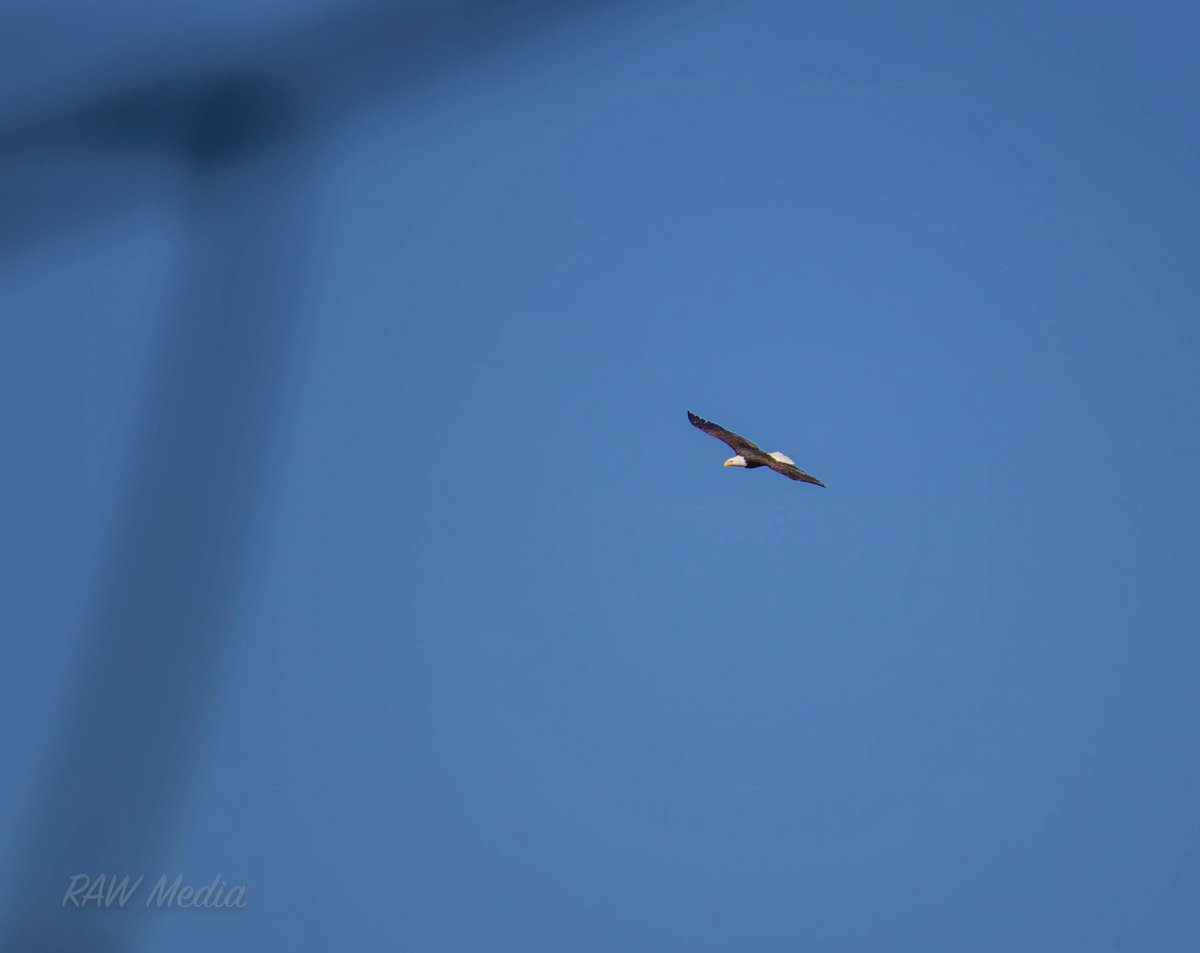 Rawdog Images (@niceshirtdude_) on Twitter photo 