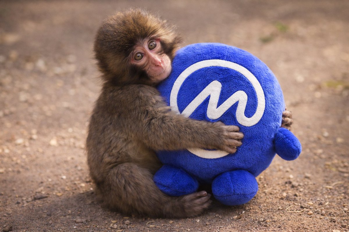 <a href="/CoinMarketCap/">CoinMarketCap</a> Coin it <a href="/clanker_world/">clanker</a>

Name: CoinMarkerCap
Ticker: CMC
use this image for icon coin