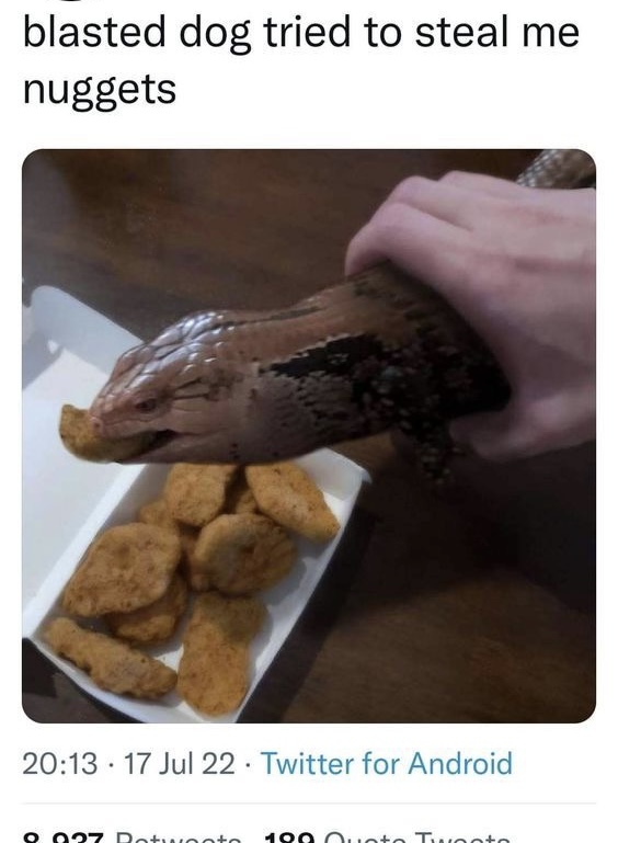 i like food (@messedupfoods) on Twitter photo 