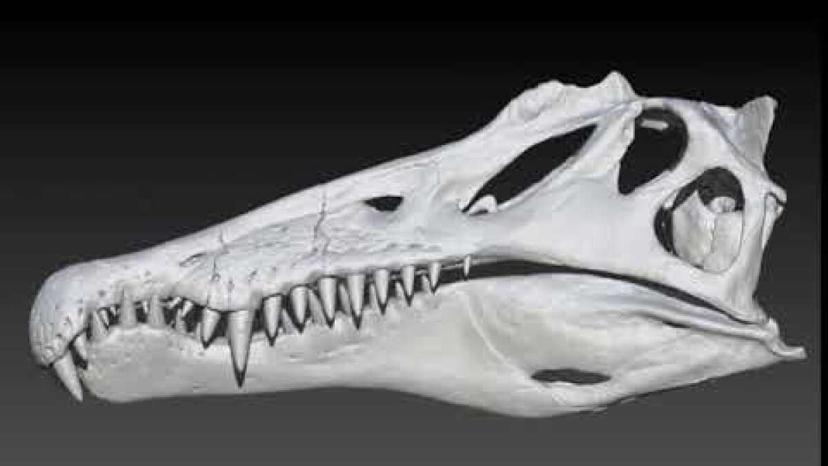 ヤマタノオロチ (@oroti0) / Posts / X