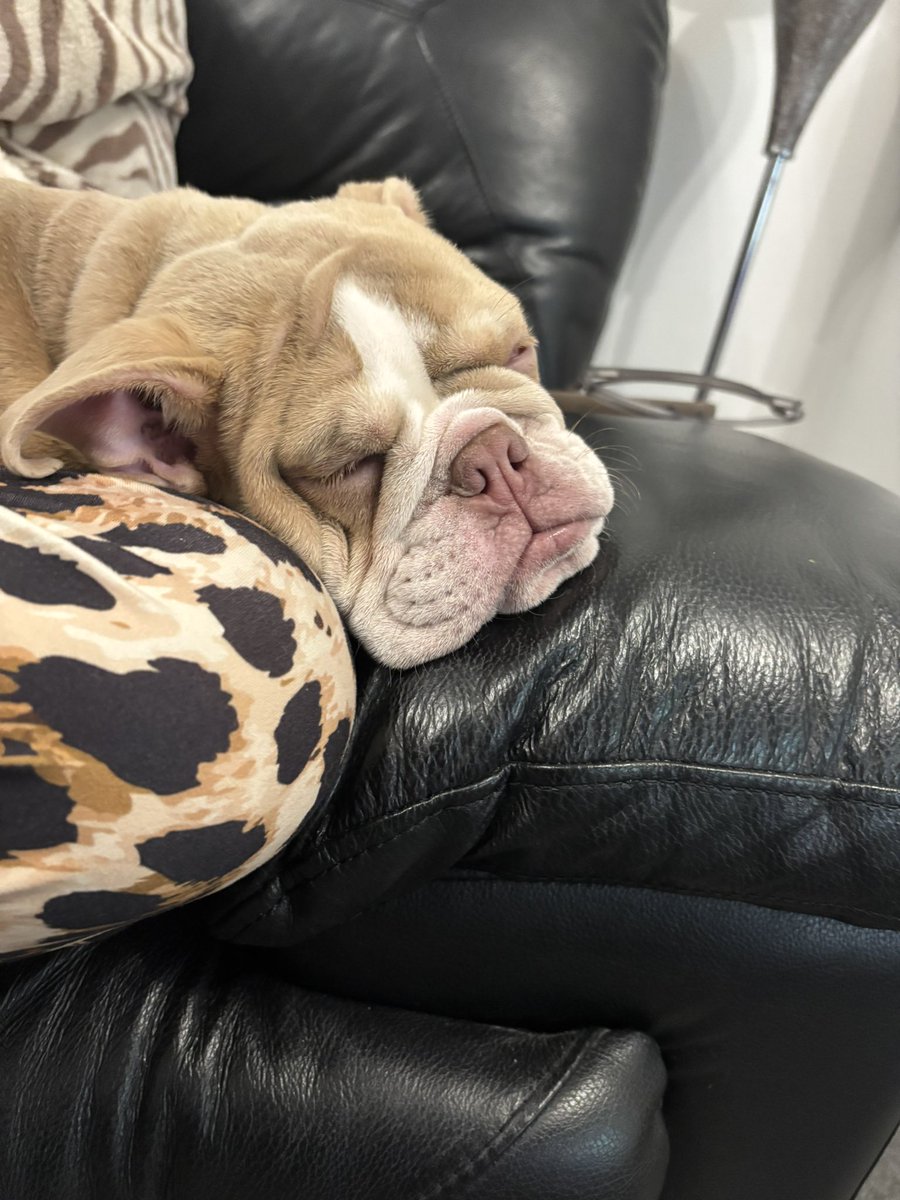 WallsendMag tweet media