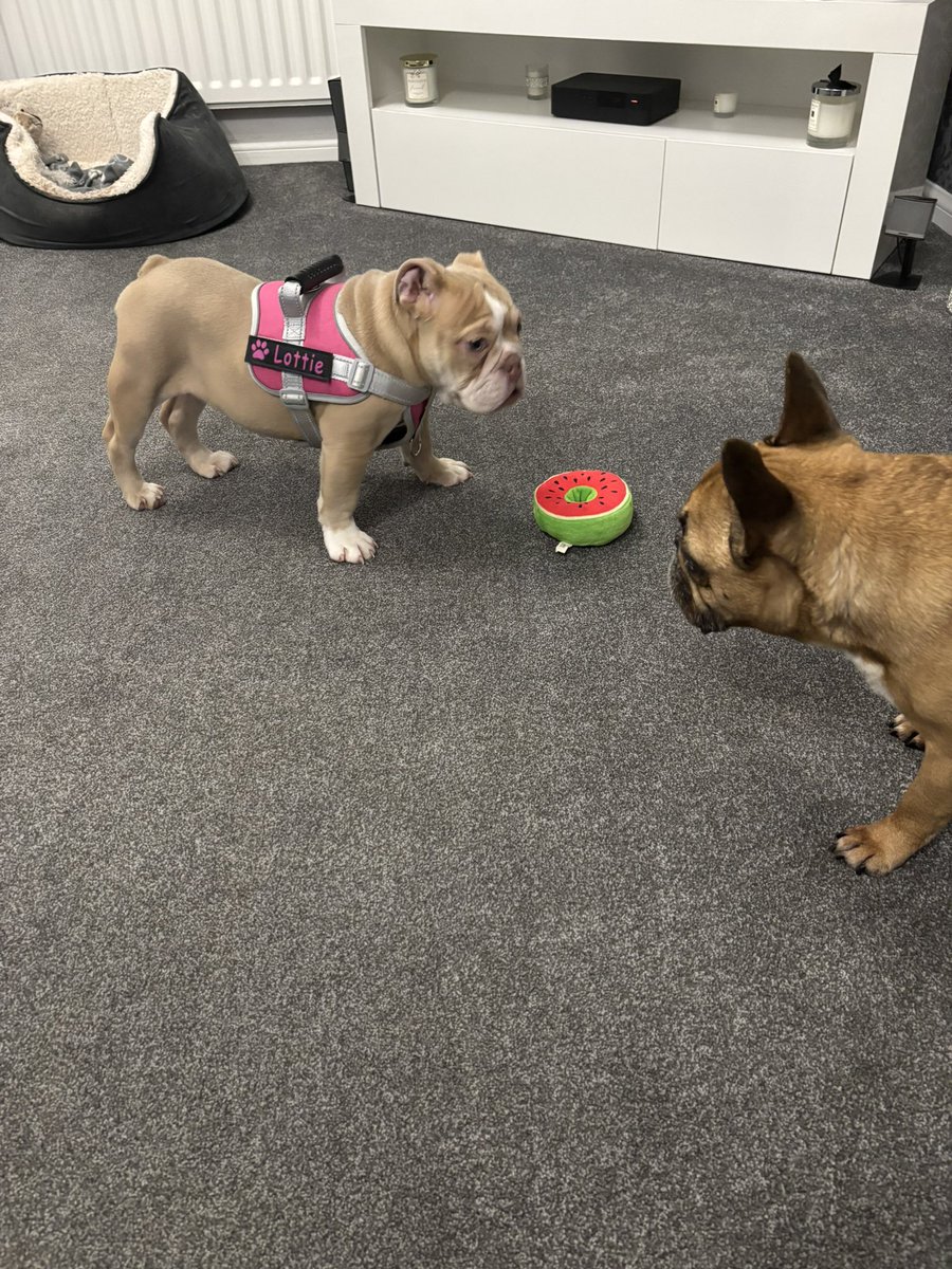 WallsendMag tweet media