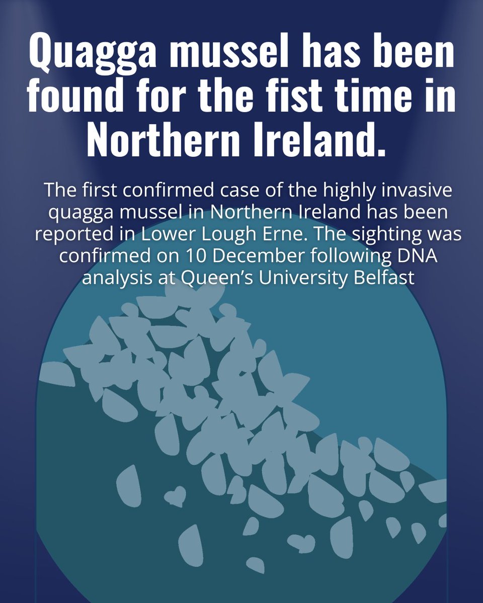 Int'l Conf. AIS tweet media