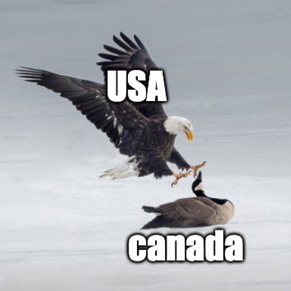 CodyNagel247's tweet image. NEVER A DOUBT!! 🇺🇸🦅🥇