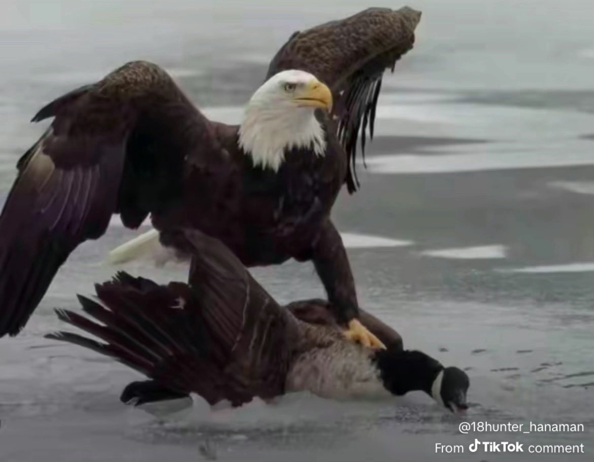 <a href="/NBCOlympics/">NBC Olympics & Paralympics</a>