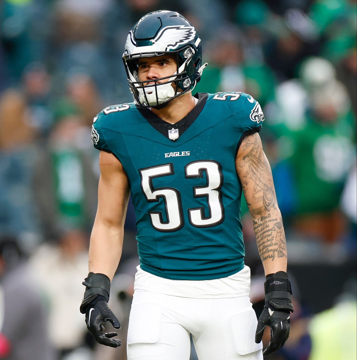 TempDaddy | AATBirds tweet media