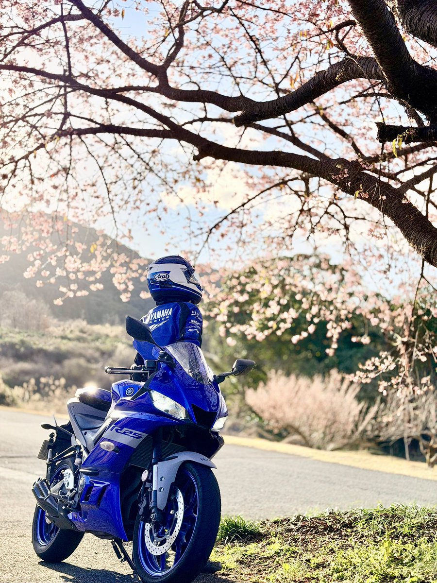 𝒌𝒆𝒊 (@FuurinkazanKei) / Posts / X