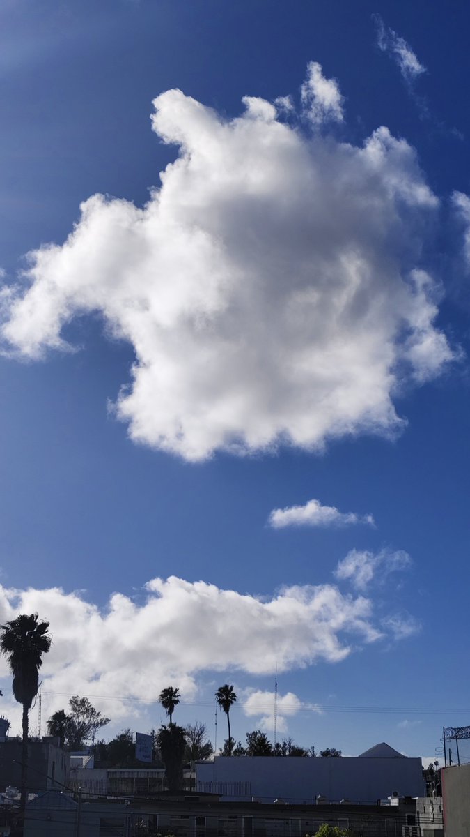 De ayer, tan bonitas.