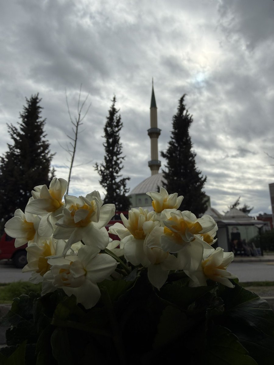 ___quling's tweet photo. Zaman Allah’ın elindedir …🌹 https://t.co/gKaMlYWZH6