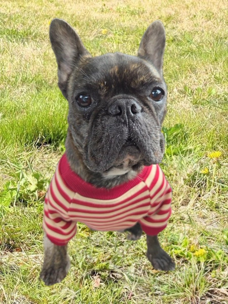 🤣🤣🤣🤣🤣🤣🤣🤣🤣