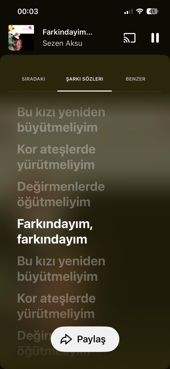 • tweet media