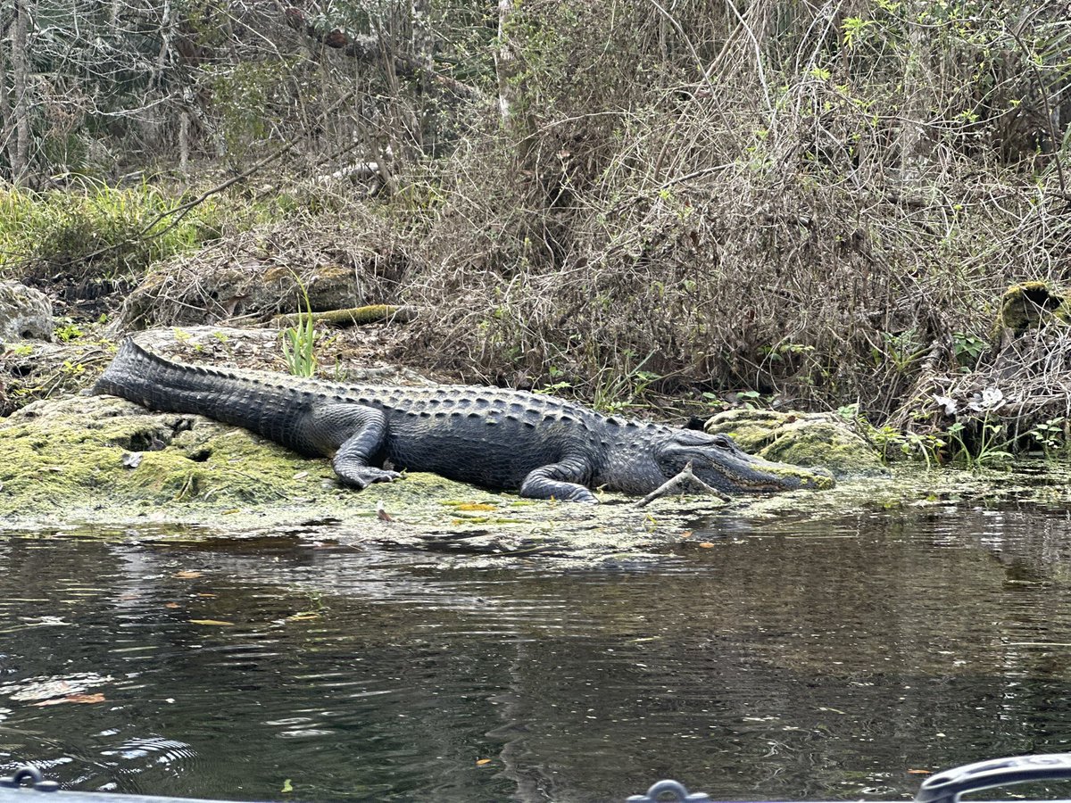 Brian Mahoney tweet media