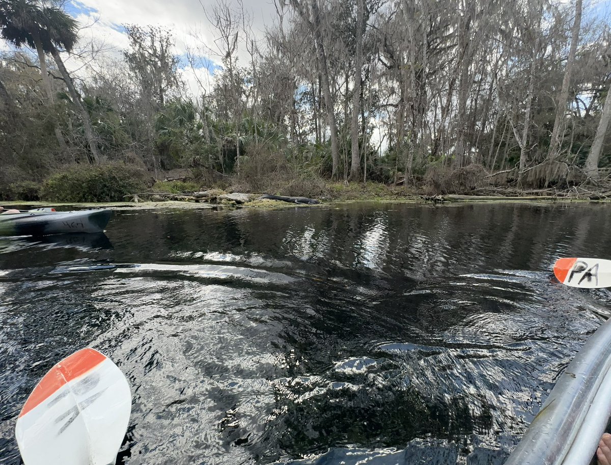 Brian Mahoney tweet media