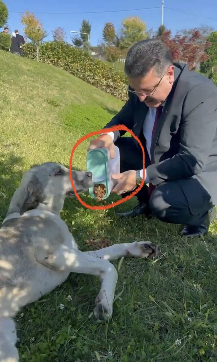 Av_MeltemZorba's tweet photo. En son köpek besliyordu. Onun yüzünden bir genç kız şu an hastanede can çekişiyor!

Hesap sormayacak mısınız? Bu saldırının ve neden Trabzon’da köpek toplanmadığının hesabını sormayacak mısınız?

@ahmetmgenc 
@TrabzonBelTr 
@TrabzonValilik 
@TC_icisleri 
@tcbestepe https://t.co/8AwlPMWSMg