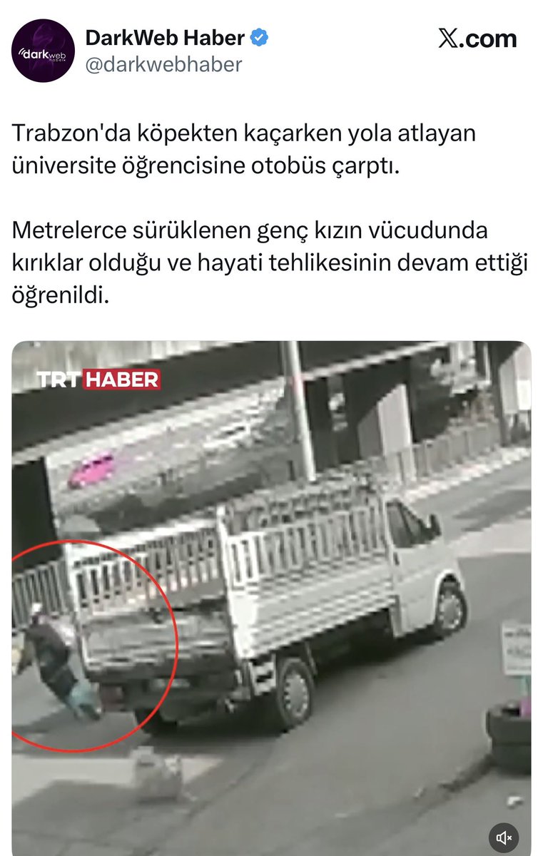 Av_MeltemZorba's tweet photo. En son köpek besliyordu. Onun yüzünden bir genç kız şu an hastanede can çekişiyor!

Hesap sormayacak mısınız? Bu saldırının ve neden Trabzon’da köpek toplanmadığının hesabını sormayacak mısınız?

@ahmetmgenc 
@TrabzonBelTr 
@TrabzonValilik 
@TC_icisleri 
@tcbestepe https://t.co/8AwlPMWSMg
