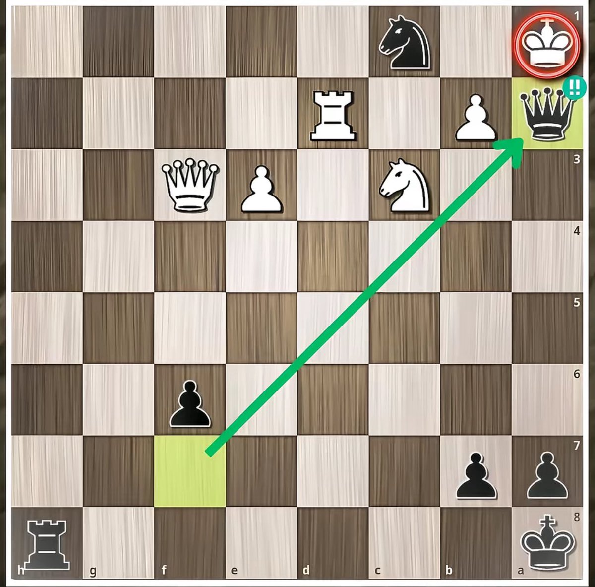 Chess Master tweet media