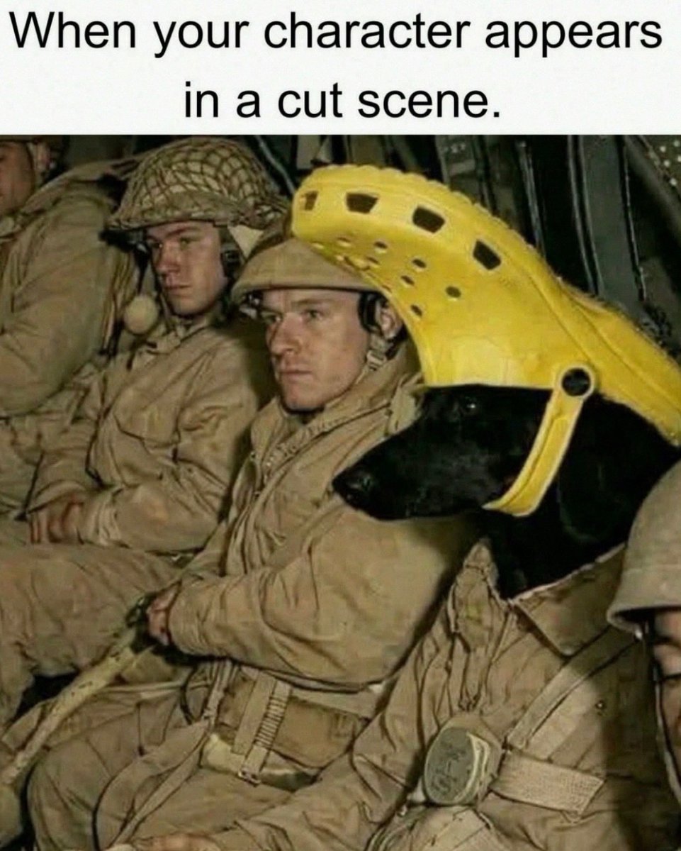 Respectful Memes (@respectfulmemes) on Twitter photo 