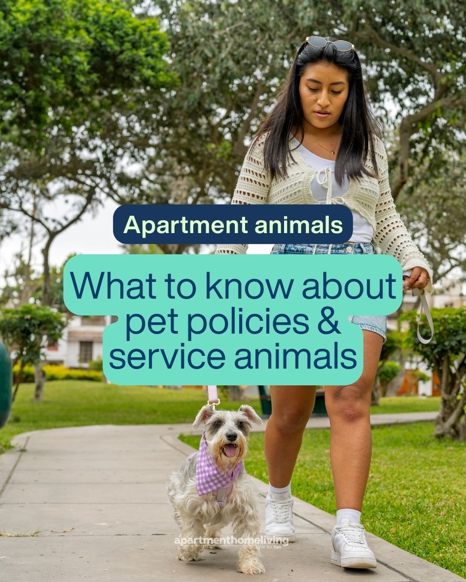 Are you team pet-friendly 🐾 or prefer a quieter, no-pets community? There’s no wrong answer, just different lifestyles.

Read full article: apartmenthomeliving.com/renter-univers…