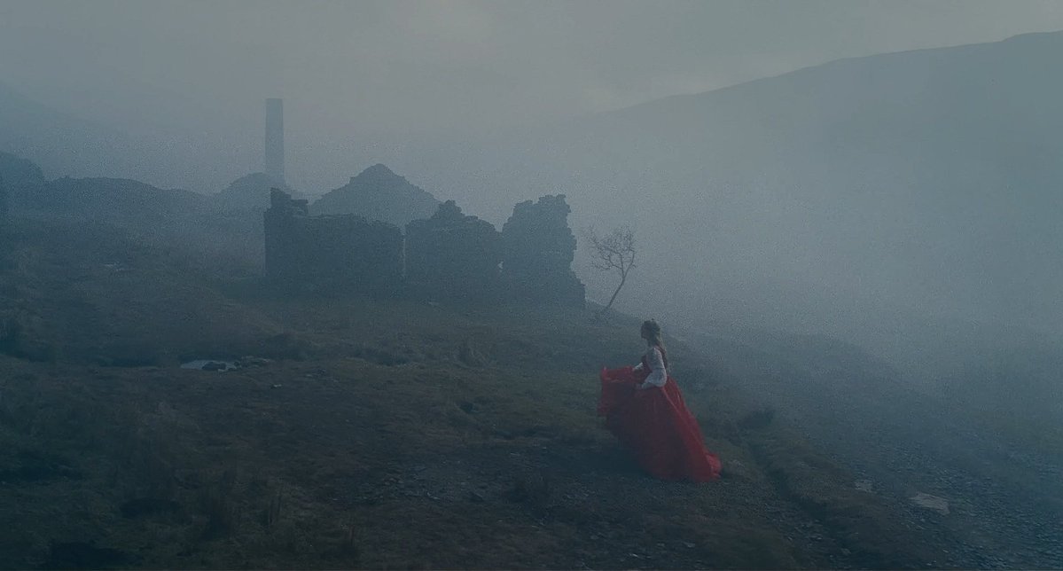 wuthering heights (2026) dir. emerald fennell